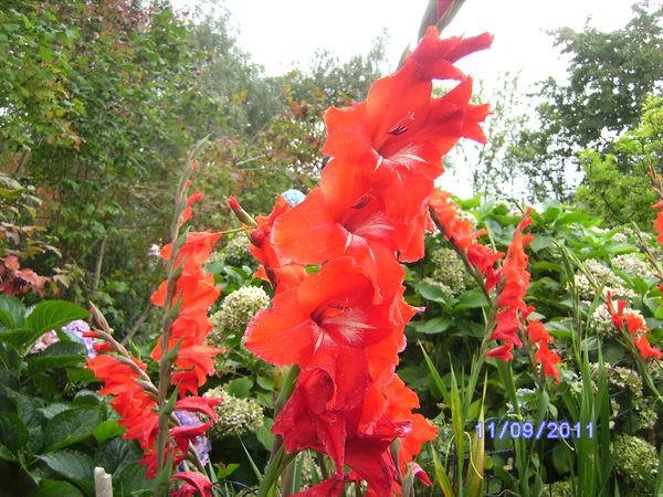 BILD3147.JPG