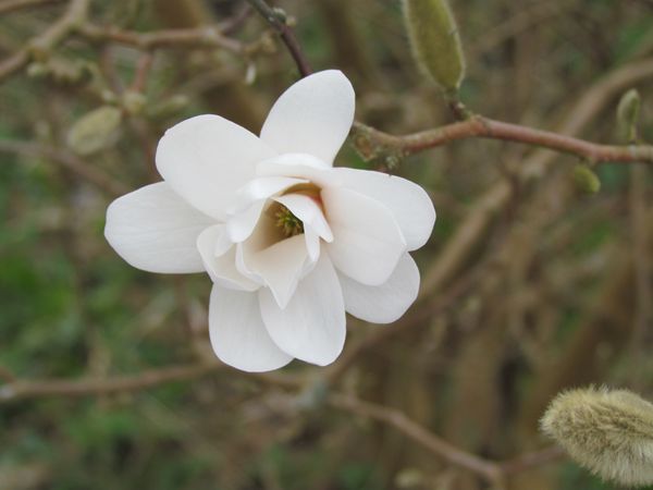 avril2012-0724.JPG