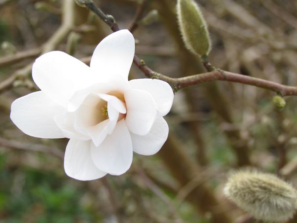 avril2012-0726.JPG