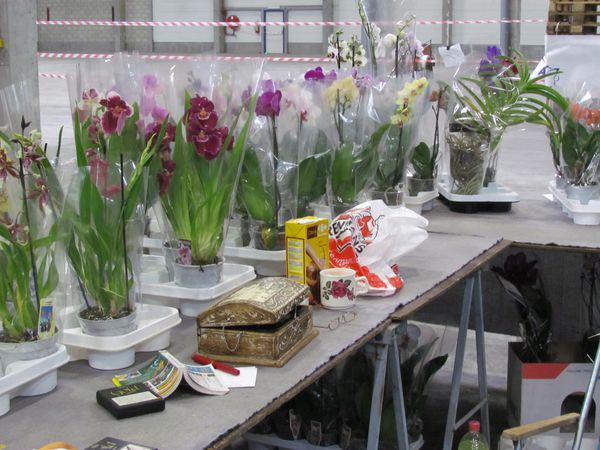 avril2012-0818.JPG