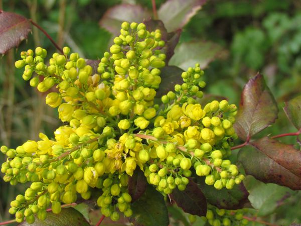 avril2012-0822.JPG