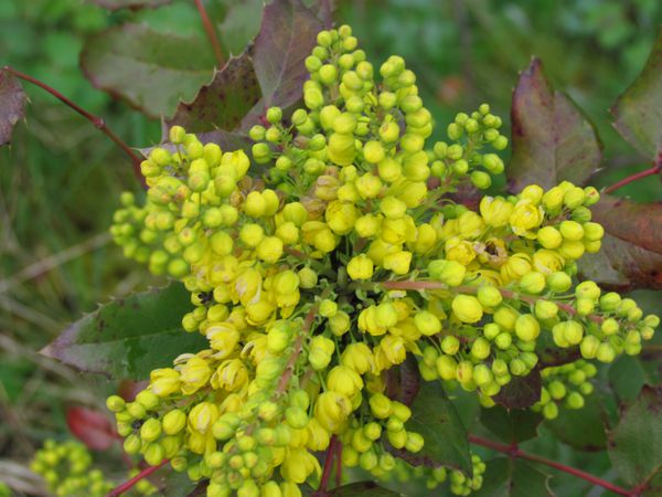 avril2012-0835.JPG