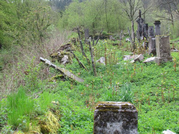 avril2012-0962.JPG