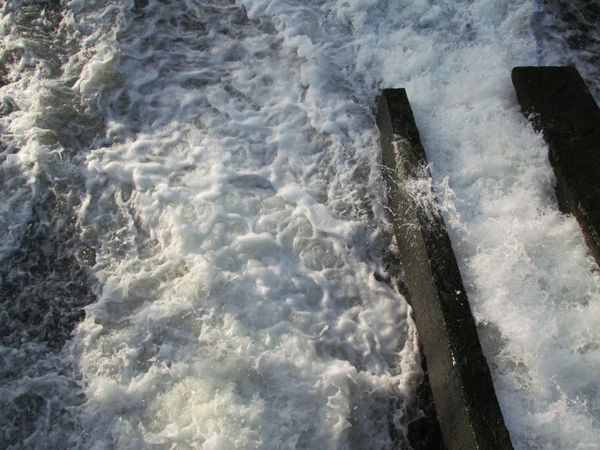 janvier-2012-0435.JPG
