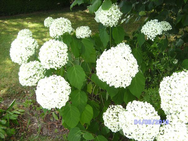 BILD3258.JPG