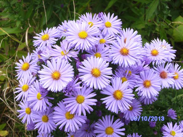 BILD3272.JPG
