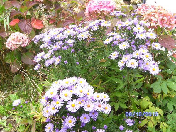 BILD3273.JPG
