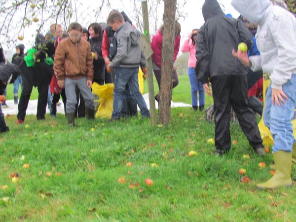 novembre-2013 5693