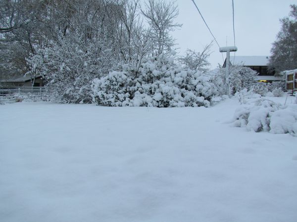 novembre-2013-5988.JPG
