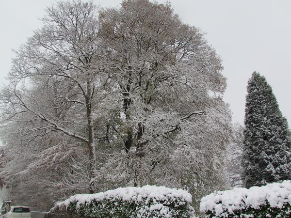 novembre-2013 5990