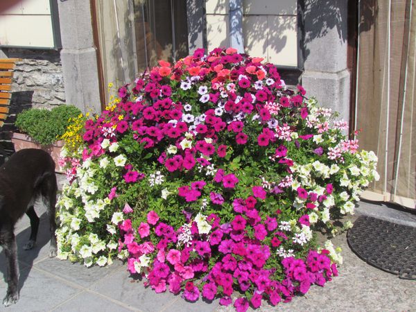 septembre2013-5020.JPG