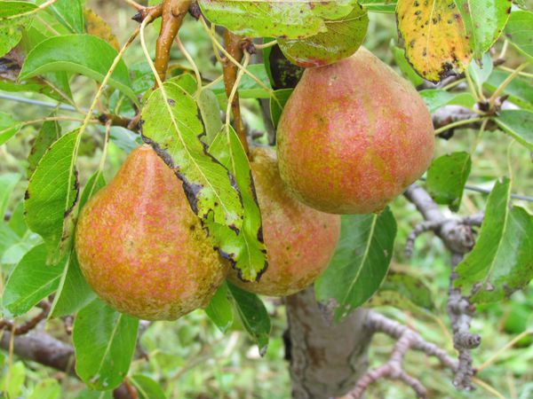 septembre2013-5519.JPG
