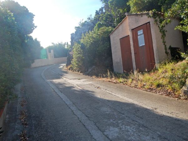DSCN0514.JPG