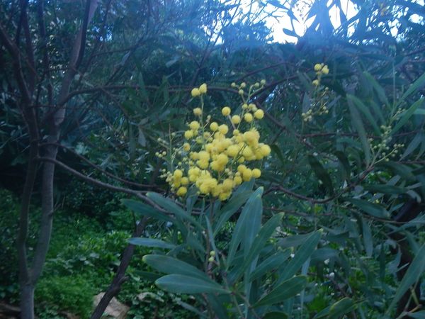 DSCN5680.JPG