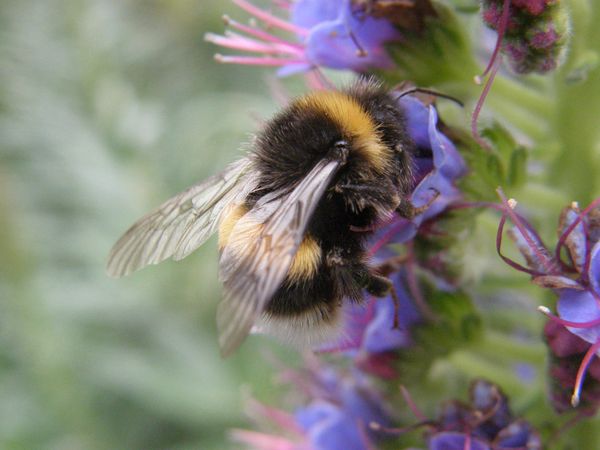 P4130016