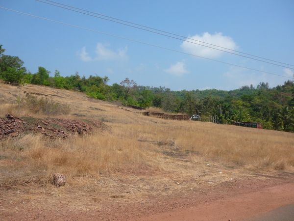 P1110515