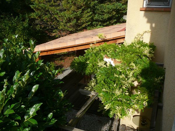 P1150640.JPG