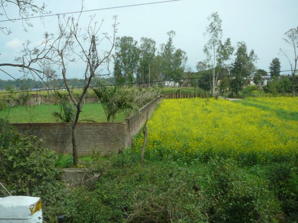 P1080973.JPG