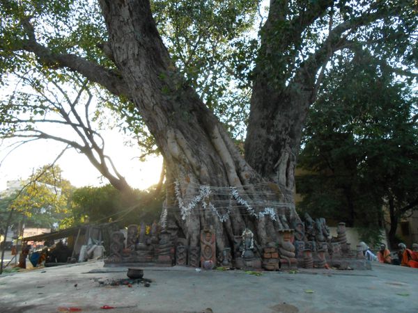 Inde du Sud Février 2013 115