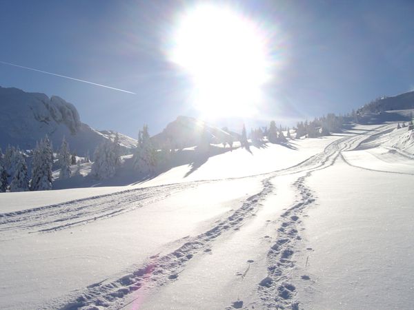 Rochers des Jaux (22)