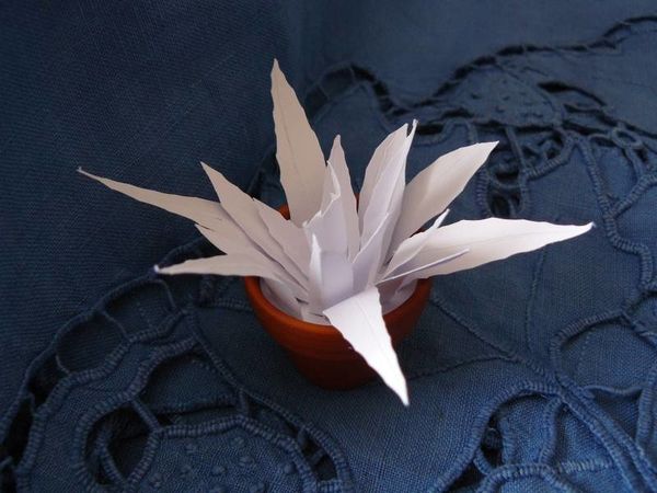 aloes770.JPG