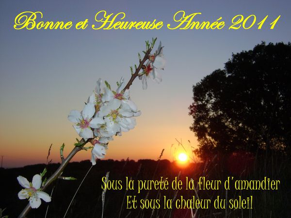 bonne année 2010 amandier