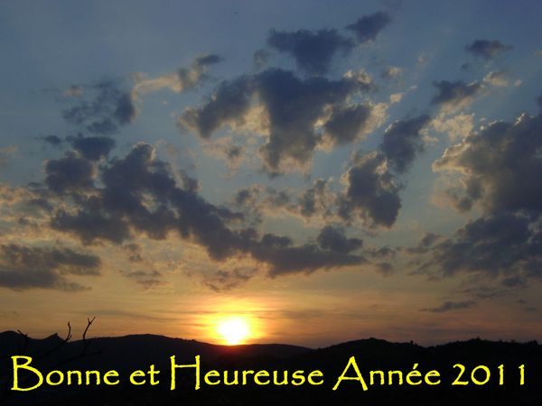 bonne année 2011 soleil
