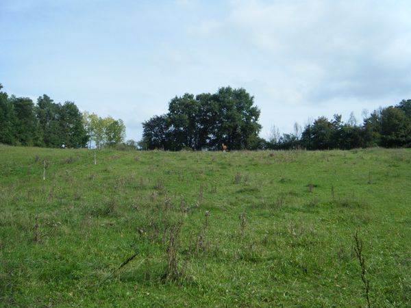 DSCF0401