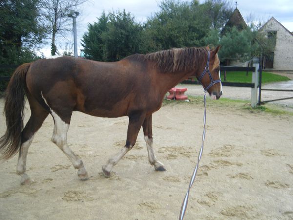 DSCF5557.JPG