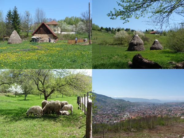 saRAjevo