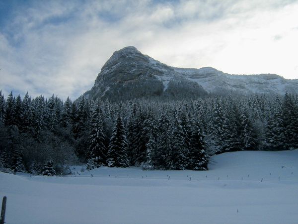 2012-janvier 5213
