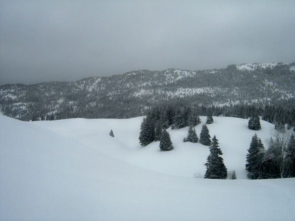 2012-janvier 5238