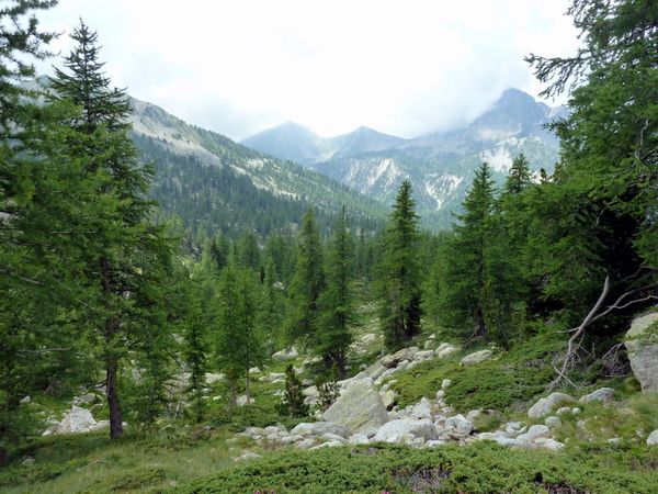2012-06-28-Lacs Negre et Graveirette-015