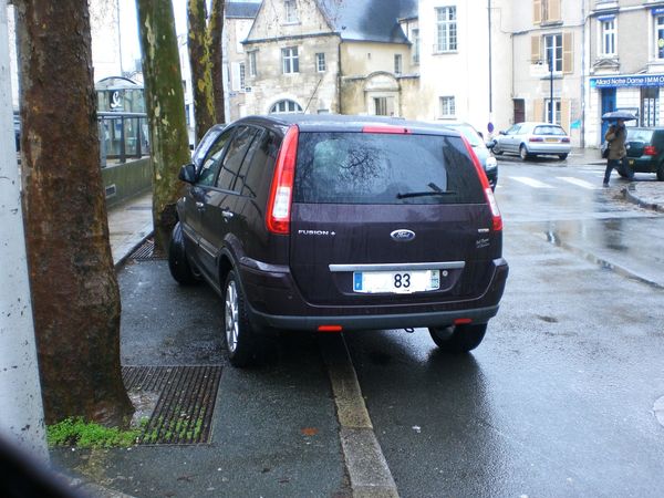 Ford-male-garee--JPG