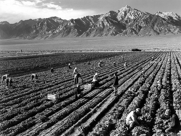 800px-ansel adams - farm workers and mt williamson