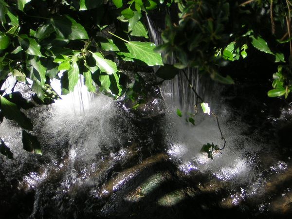 DSCN7681.JPG