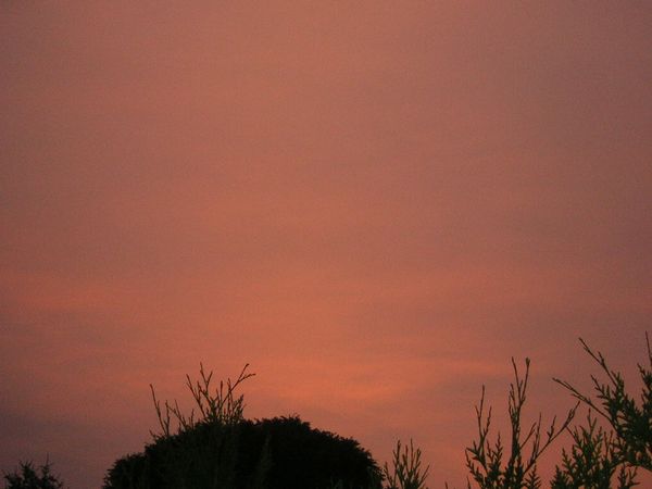 5h-du-matin--quand-Cindy-ne-peut-pas-dormir.JPG