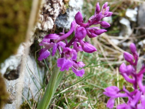 Carrowkeel (13)