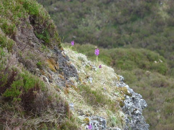 Carrowkeel (22)