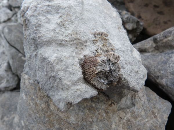 Carrowkeel (29)