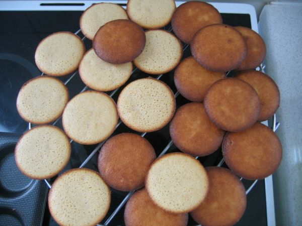 005-copie-4