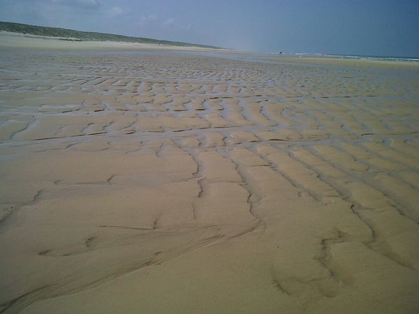 IMG00649-20130722-1107