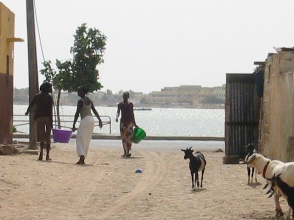 Senegal 6226