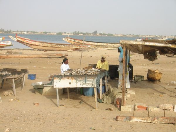 Senegal 6256