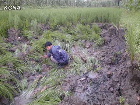 inondations_coree_nord_28_juillet_2011.jpg
