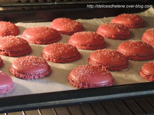 macarons fraise tagada (3)