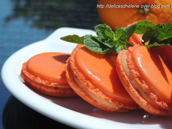 macarons orange-menthe (1)