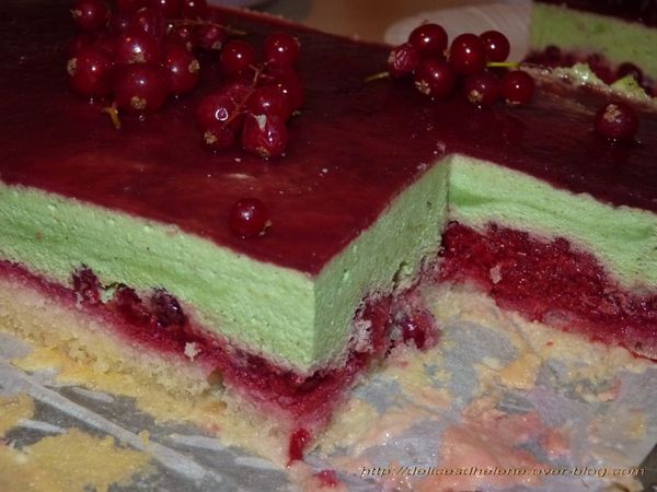 bavarois pistache-framboise (3)