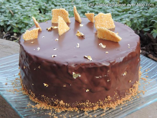 royal praliné-chocolat (2)