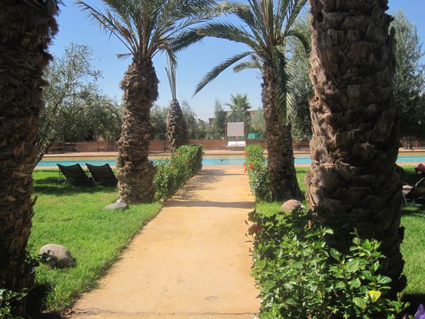 Maroc-2010-543.jpg